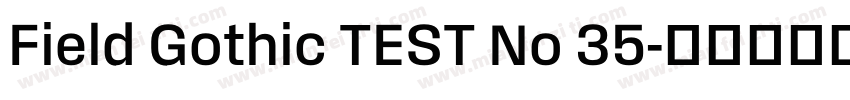 Field Gothic TEST No 35字体转换